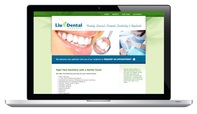 liudental_website_laptop